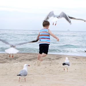 Gull Mine! Coordinate Stripes