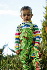 Birds aren't Afraid of Colour *Pre-Order