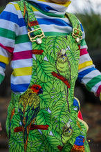 Birds aren't Afraid of Colour *Pre-Order