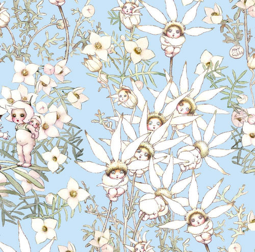 May Gibbs ~ Flannel Flower Babies ~ Summer Blue