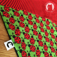 Ladybug Project Panel