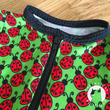 Ladybug Project Panel