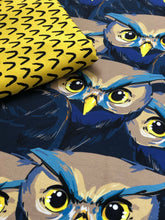 The Owls Have It! Project Panel
