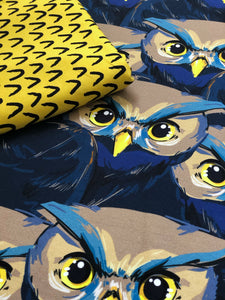 The Owls Have It! Project Panel