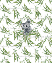 Koala Panel