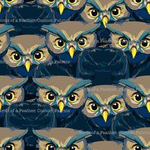 The Owls Have It! Project Panel