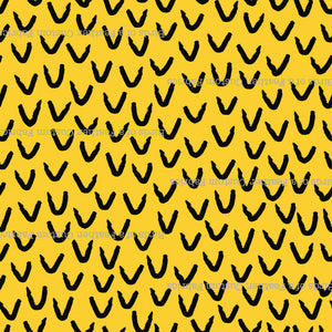 Beaks or Feather Points?
