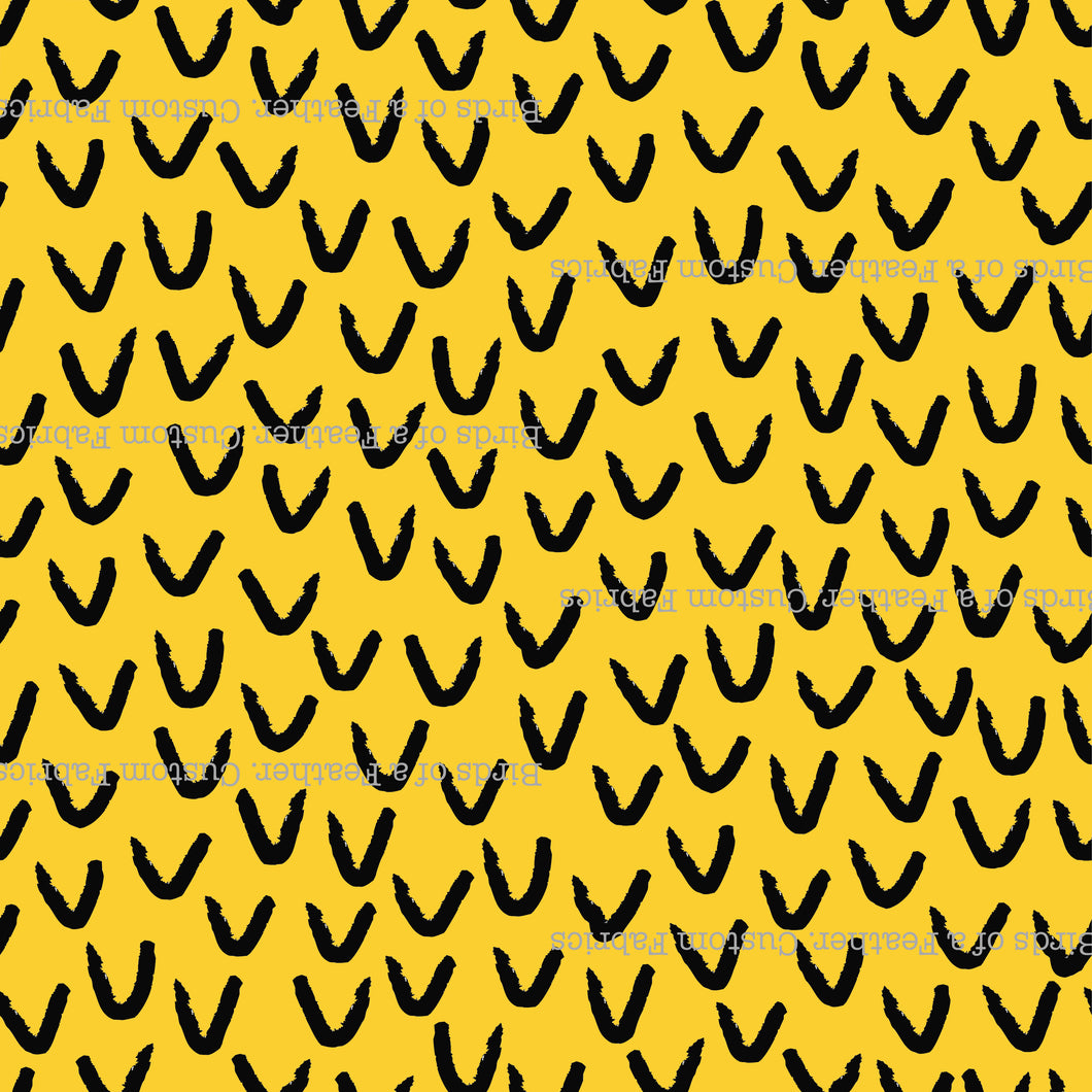 Beaks or Feather Points?