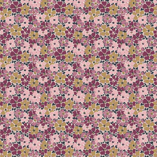 Primula Posey A - Final Shelf Clearance, up to 60% Off!