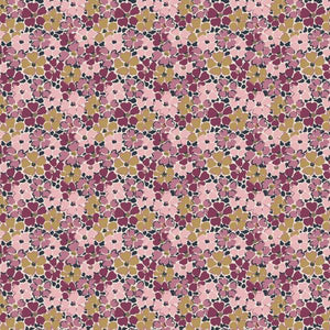 Primula Posey A - Final Shelf Clearance, up to 60% Off!