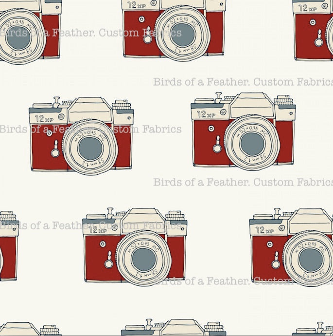 Vintage Cameras
