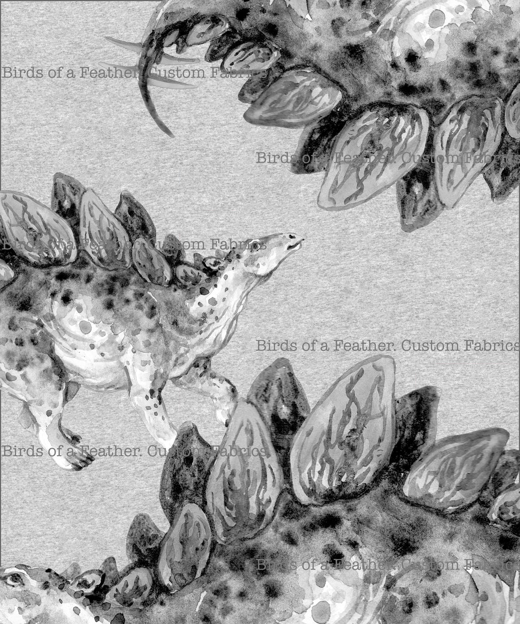Stegosaurus Carbon - Panel