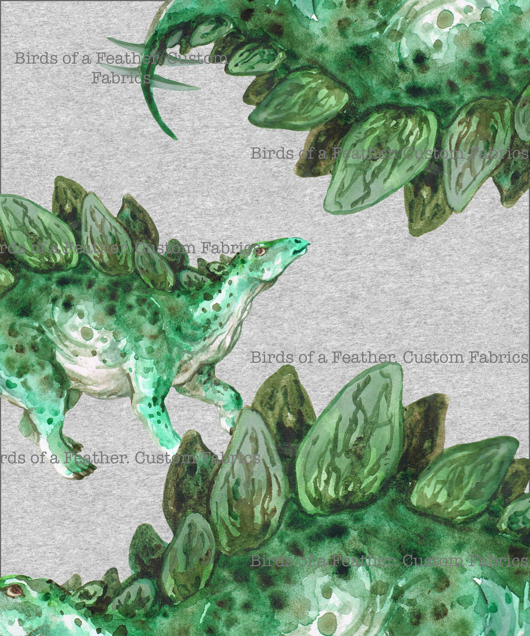 Stegosaurus Colour - Panel