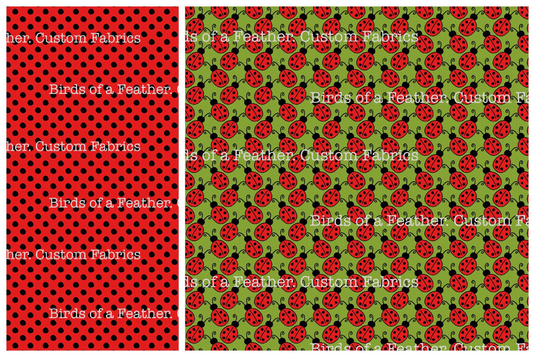Ladybug Project Panel