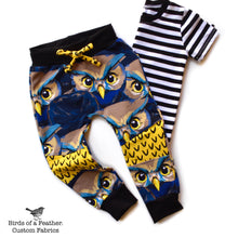 The Owls Have It! Project Panel